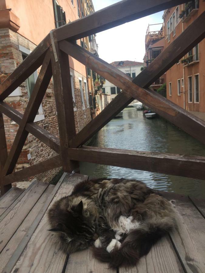 Tintoretto 1 Con Terrazza Sopra Il Tetto, 3 Bagni, 3 Grandi Camere Da Letto, Super Nuovo Velence Kültér fotó